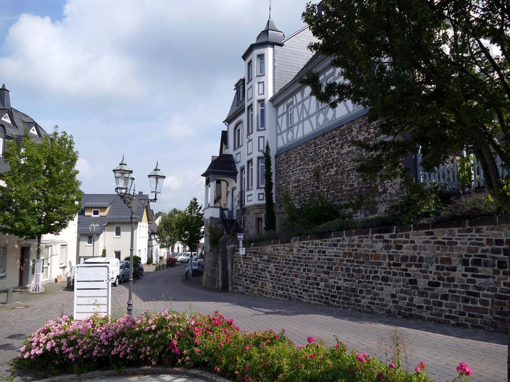 Apartments Im Chateau D'Esprit Höhr-Grenzhausen Exterior foto
